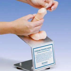 3B Scientific Condom Training Model - Light